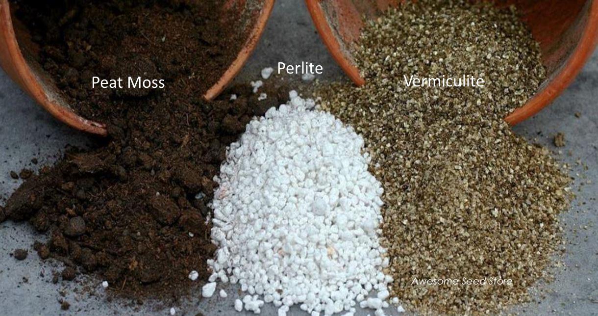 Vermiculite - Perlite kết hợp hoàn hảo